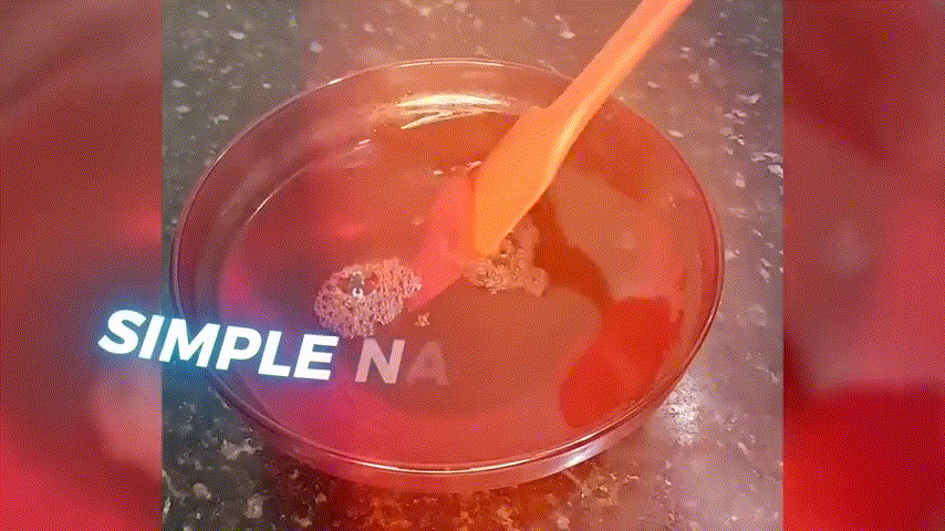 Dr. Jennifer Ashton's Gelatin Trick — Watch the presentation